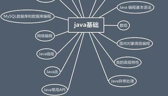 java培训班的课程一般都学习什么内容呢